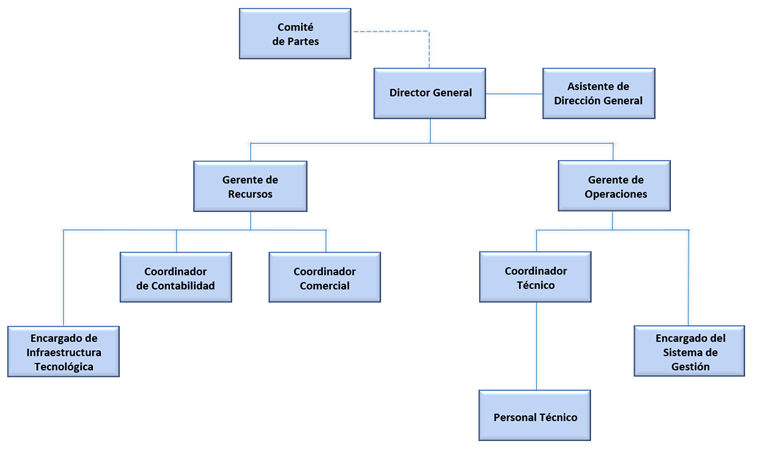 Estructura Organizacional - ACCM América